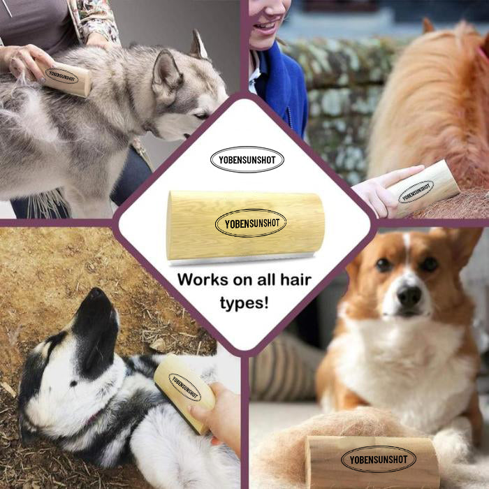 Say Goodbye to Shedding! YOBENSUN Grooming Brush for All Dogs ๐พ