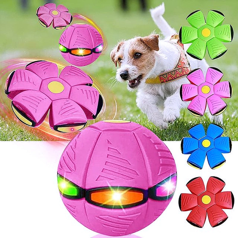 š 2025 Innovative Magic Flying Disc Dog Ball š¾