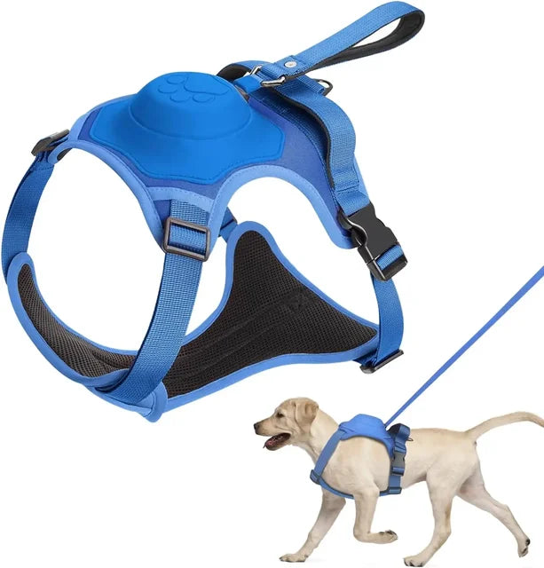 🐕 2025 New Ultimate Dog Harness & Leash: Comfort & Control 🐾