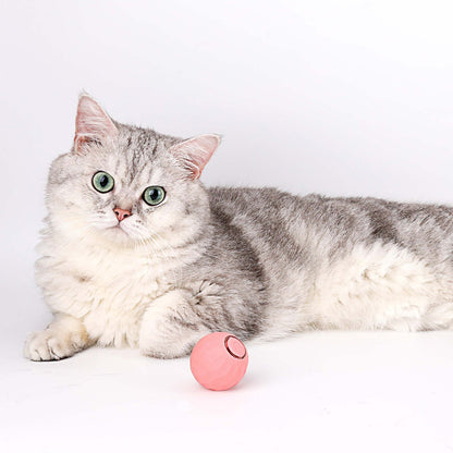 🎄2025🐾New Release - 50% Off - Automatic Smart Cat Teaser Ball 2.0