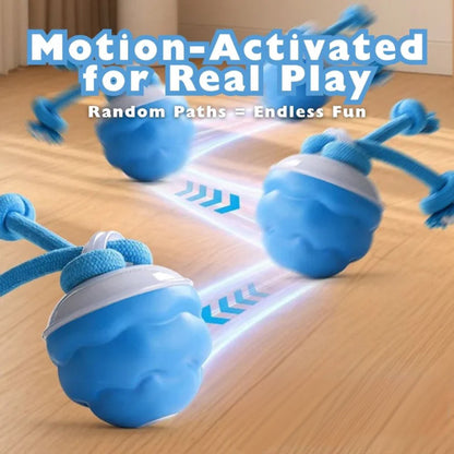 🐾YOBENSUN™ – The Ultimate Toy to Keep Your Dog Happy & Calm