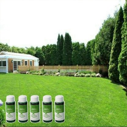 🎉 Hot Sale🌱Lawn Repair & Instant Green Grass Spray