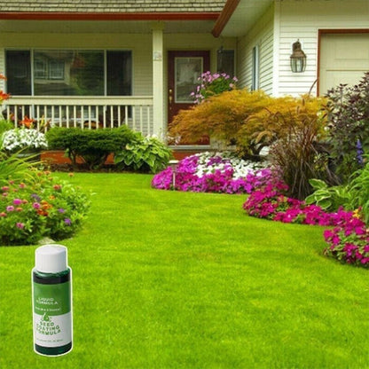 🎉 Hot Sale🌱Lawn Repair & Instant Green Grass Spray