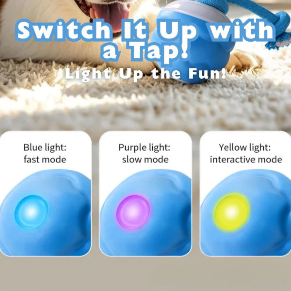 🐾YOBENSUN™ – The Ultimate Toy to Keep Your Dog Happy & Calm