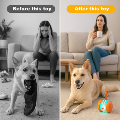 ✨2026’s Best Choice for Pet Parents for Bored Dogs & Cats 🐱🐶
