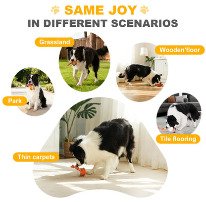 ✨2026’s Best Choice for Pet Parents for Bored Dogs & Cats 🐱🐶