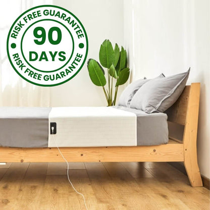 ODALIT™ Natural Pain Relief Cushion 🌎