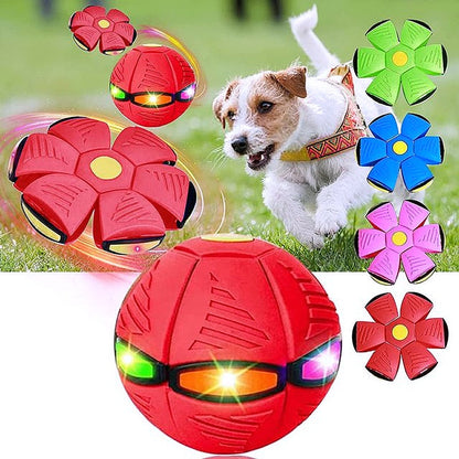 🐕 2025 Innovative Magic Flying Disc Dog Ball 🐾