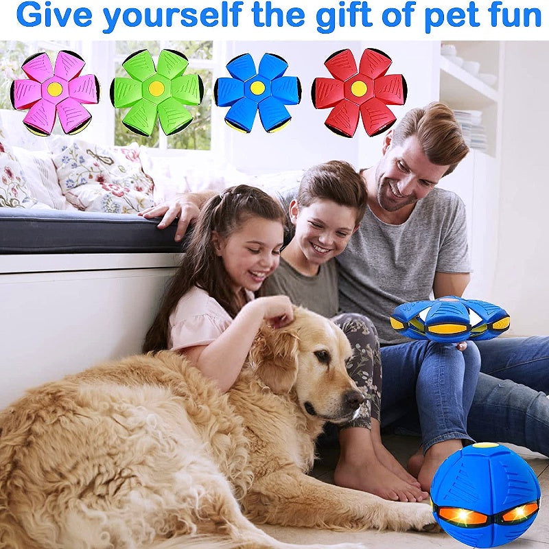 🐕 2025 Innovative Magic Flying Disc Dog Ball 🐾