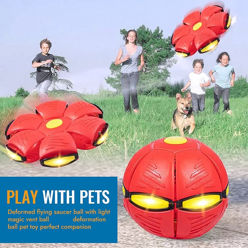 🐕 2025 Innovative Magic Flying Disc Dog Ball 🐾