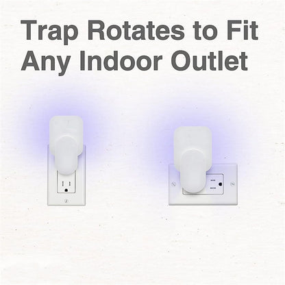 🪰 Indoor Plug-in Fly Traps for Flies