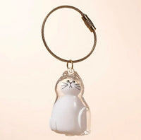 Transparent cat