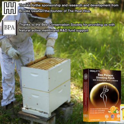 ODALIT™ Bee Poison Firming Slimming Patch 🐝Recommended by FDA and ADA✨No Dieting,No Exercise,No Side Effects