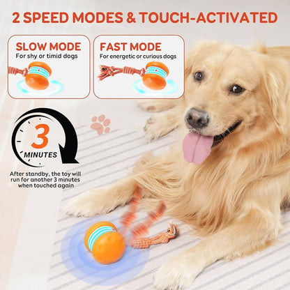🐶Yobensun™ BusyBall - The Ultimate Smart Companion for Bored Dogs & Cats 🐱🐶