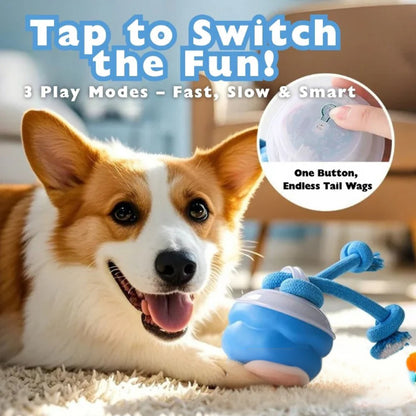 🐾YOBENSUN™ – The Ultimate Toy to Keep Your Dog Happy & Calm