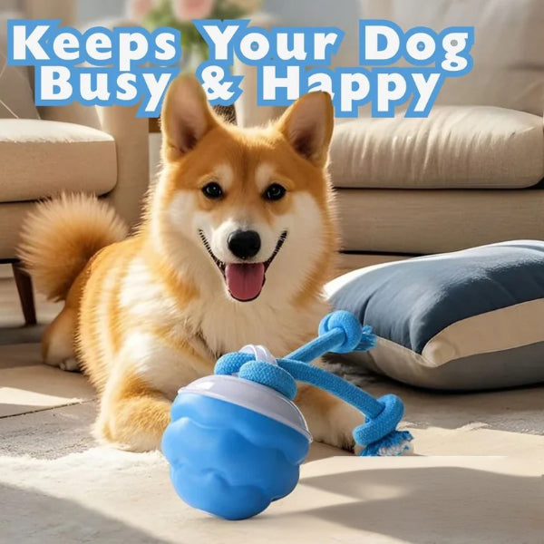 🐾YOBENSUN™ – The Ultimate Toy to Keep Your Dog Happy & Calm