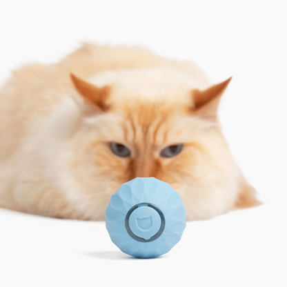 🎄2025🐾New Release - 50% Off - Automatic Smart Cat Teaser Ball 2.0