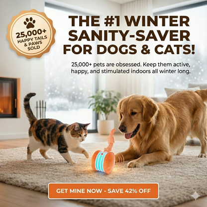 ✨2026’s Best Choice for Pet Parents for Bored Dogs & Cats 🐱🐶