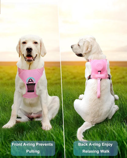 🐕 2025 New Ultimate Dog Harness & Leash: Comfort & Control 🐾
