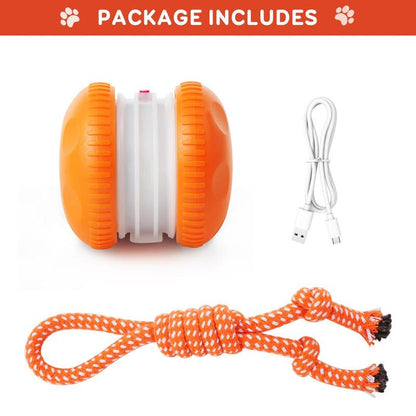 🐶Yobensun™ BusyBall - The Ultimate Smart Companion for Bored Dogs & Cats 🐱🐶