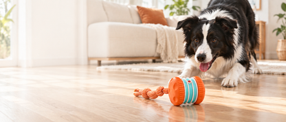 🐾The YOBENSUN™ – Keep Your Pet Relaxed, Happy & Content 🐶