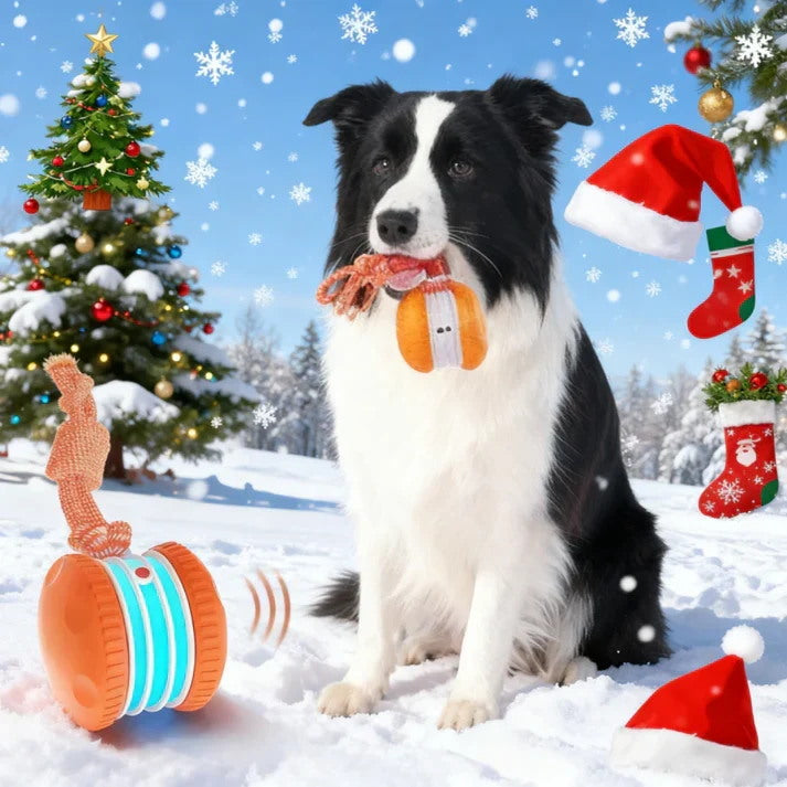 🐶The Ultimate Smart Companion for Bored Dogs & Cats 🐱🐶